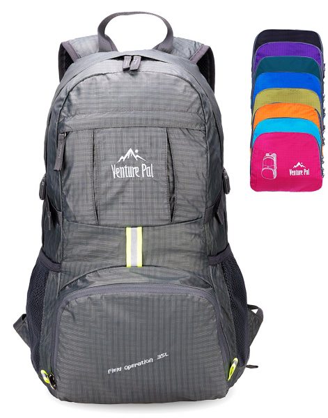 venture pal lightweight travel backpack perfect for cruising with kids